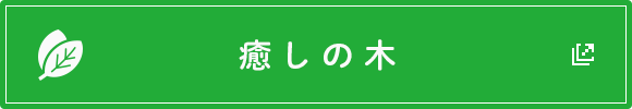 癒しの木